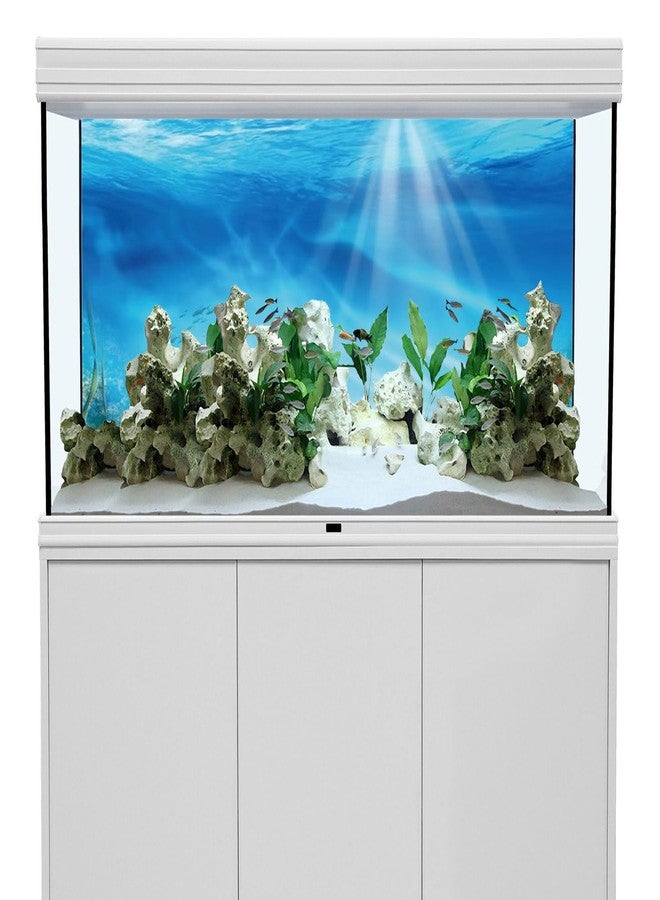 AWERT Undersea Theme Aquarium Background Colorful Coral Tropical Fish Sunshine Underwater World Fish Tank Background 36x18 inches Durable Polyester Background - Image 2